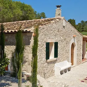 Puig Molto Montuïri
